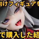 大人向けフィギュアを中古で購入してみた結果（あみあみ：中古B＋,DUE ROSSO）
